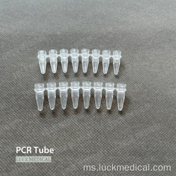 Strip tiub PCR 0.2 ml 0.1ml